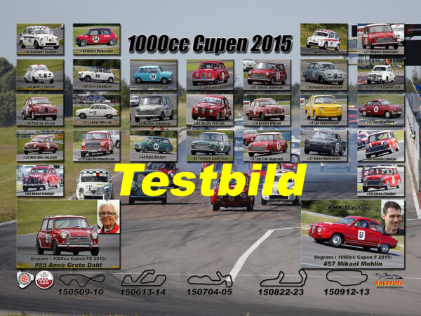 1000cc F 2015