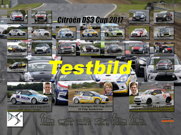 DS3 Cup 2017
