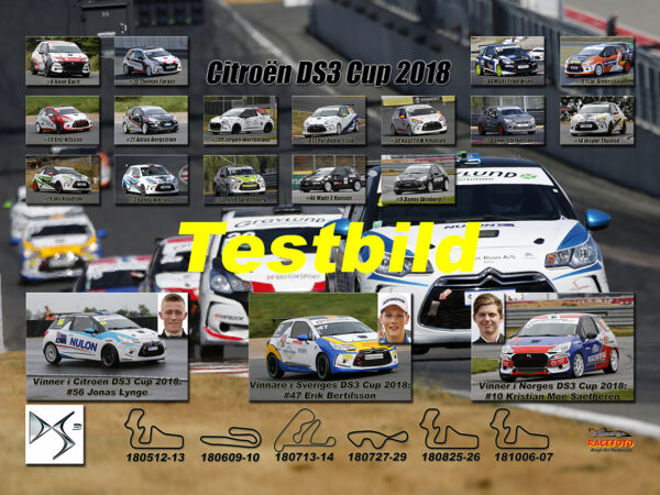 DS3 Cup 2018
