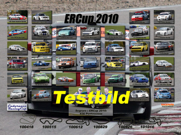ERCup 2010