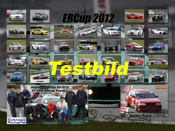 ERCup 2012