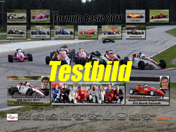 Formula Basic 2011