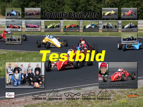 Formula Basic 2014