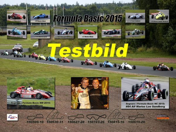Formula Basic 2015
