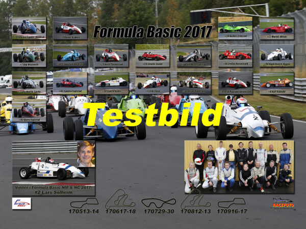 Formula Basic 2017