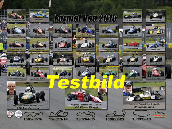 Formel Vee 2015