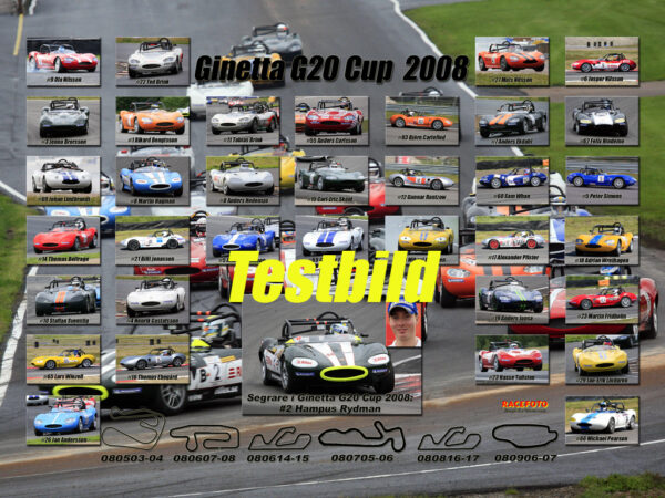 Ginetta 2008