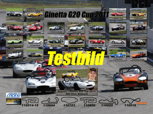Ginetta 2011