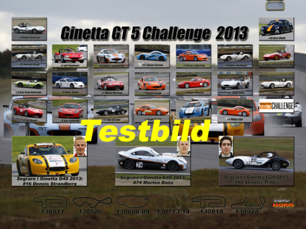 Ginetta 2013