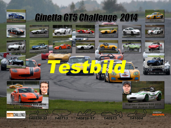 Ginetta 2014