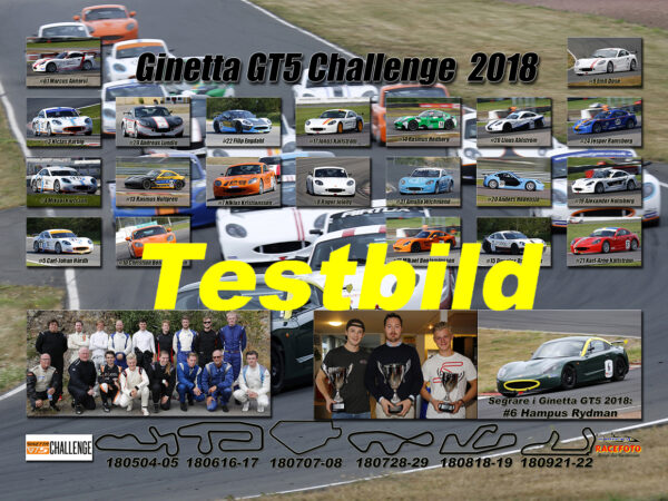 Ginetta 2018