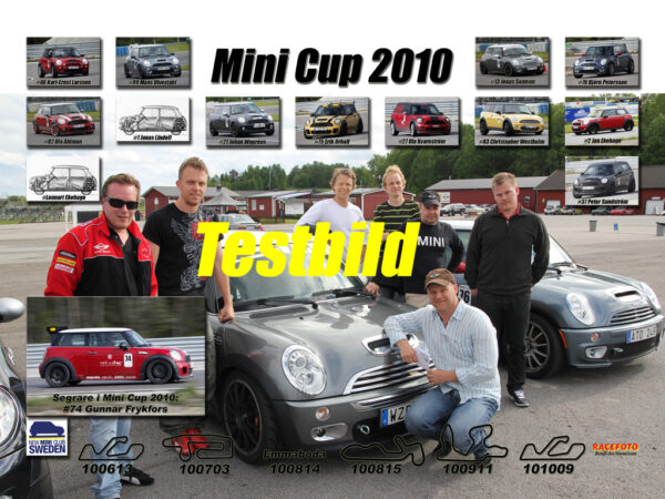 Mini Cup 2010