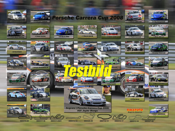 Porsche Carrera Cup 2008