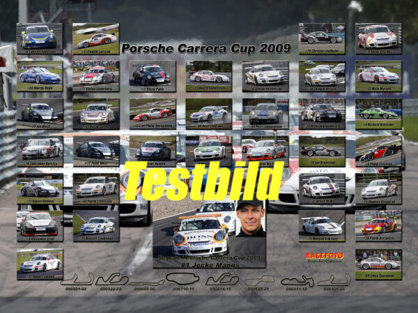 Porsche Carrera Cup 2009