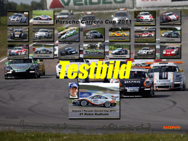 Porsche Carrera Cup 2011