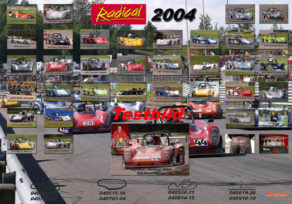 Radical 2004
