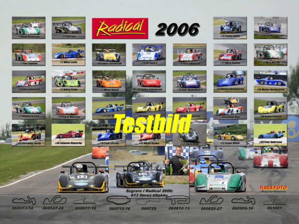 Radical 2006
