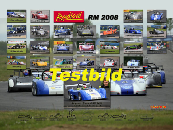 Radical 2008