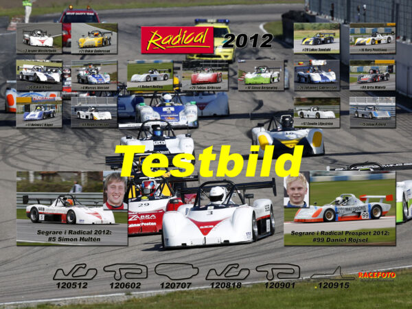 Radical 2012