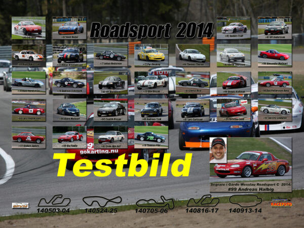 Roadsport C 2014