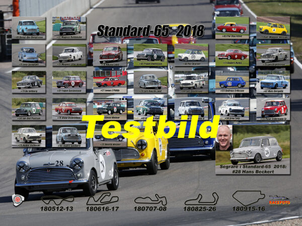 Standard-1965 2018