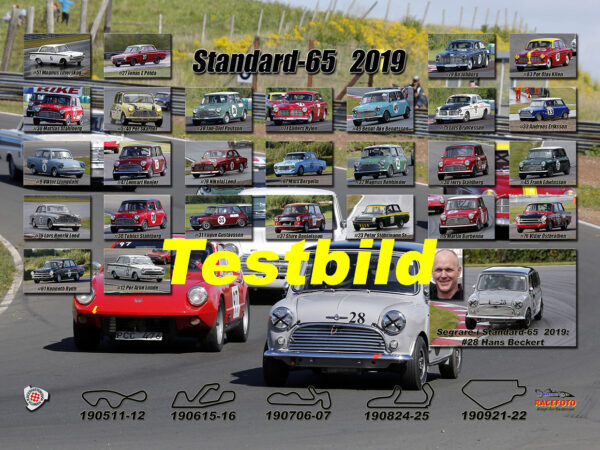 Standard-1965 2019
