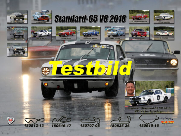 Standard-1965 V8 2018