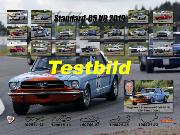 Standard-1965 V8 2019
