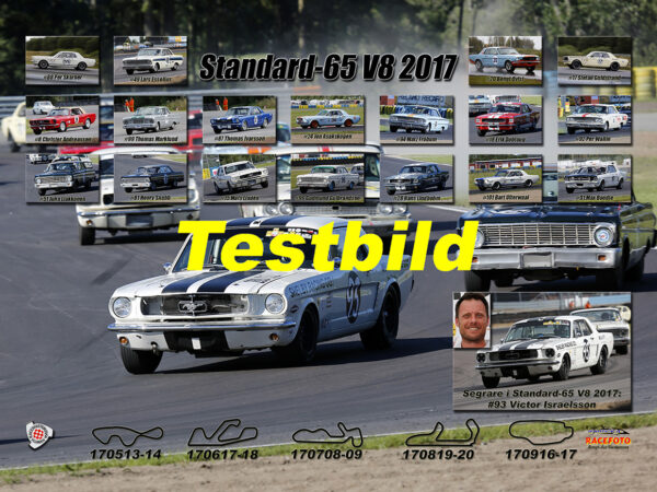 Standard-1965 V8 2017