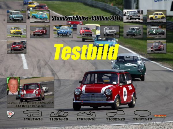 Standard-1965 under 1300cc 2011