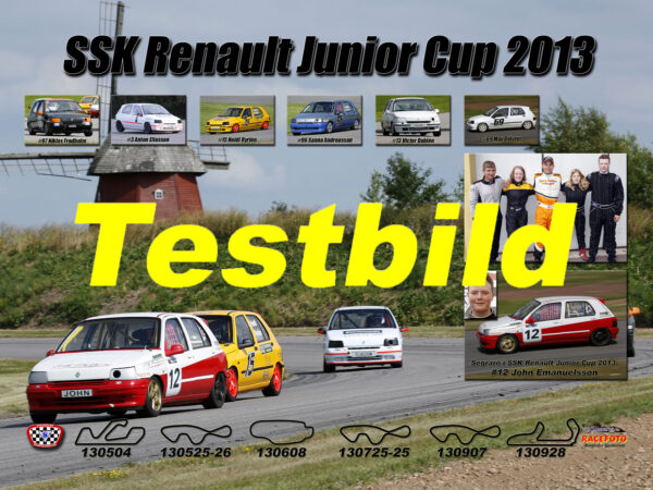 SSK Renault Junior Cup 2013