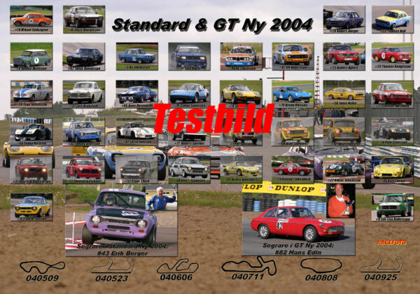 Standard Ny 2004