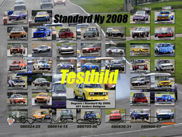 Standard Ny 2008