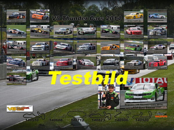 V8 Thunder Cars 2014